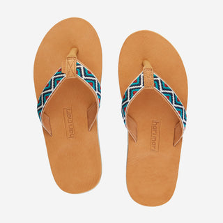 Fields Camino